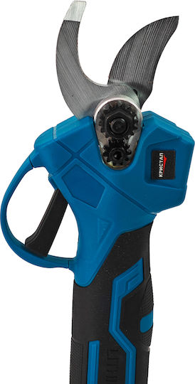 DDT Set Chainsaw Brushless 24V with Batteries 2Ah and Case
