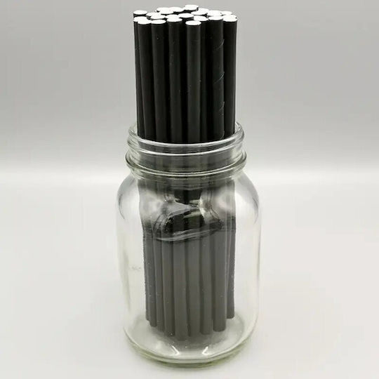 Set 100 Straws Flippy Paper 20 Cm Solid Color Black