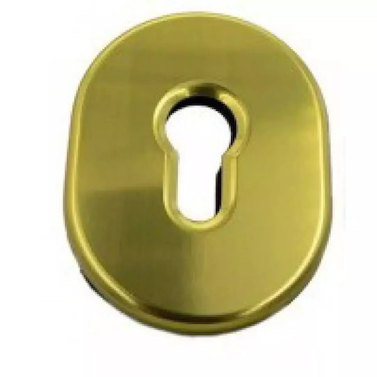 Disec KT036 Interior Rosette Cylinder Lock