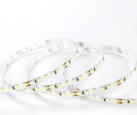Eurolamp LED Strip 48V 5m Type SMD2835