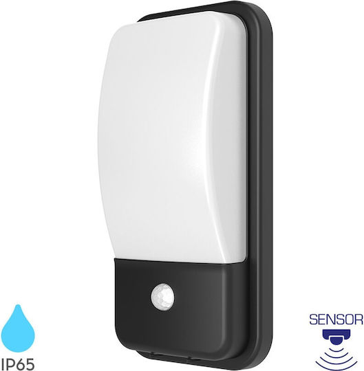 Braytron Стенен Външен Осветител LED IP65 30x15x8.6см