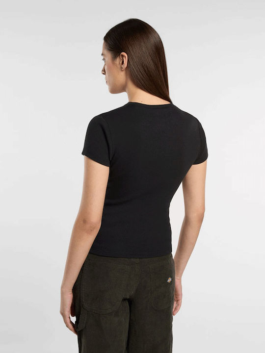 Dickies Dickies