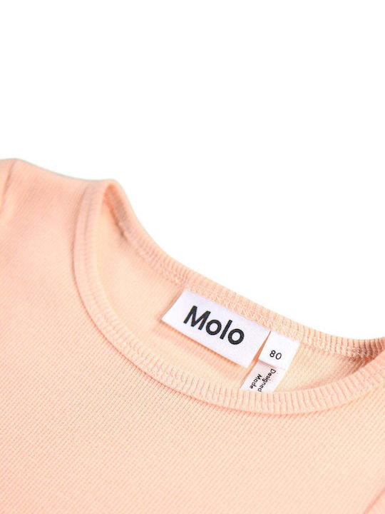 Molo