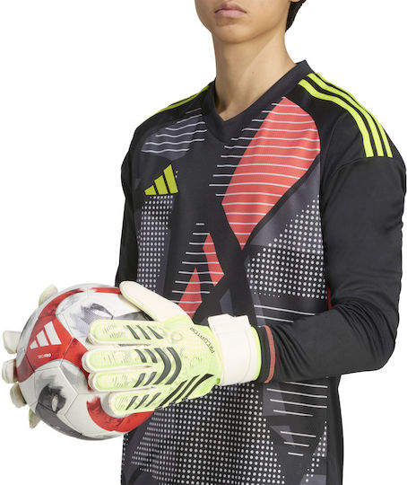 adidas Predator Gl Mtc Torwarthandschuhe Erwachsene Grün