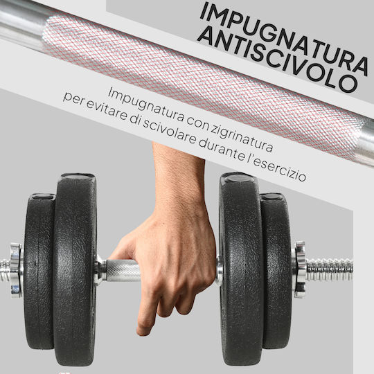 HomCom Set de gantere 2x 10kg