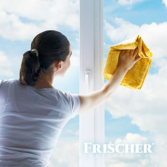 Frischer Καθαριστικό Spray Τζαμιών 1lt