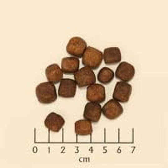 Wolfsblut 12.5kg Ξηρά Τροφή χωρίς Σιτηρά & Γλουτένη για Ενήλικους Σκύλους με Πέστροφα, Πατάτες και Ψάρια