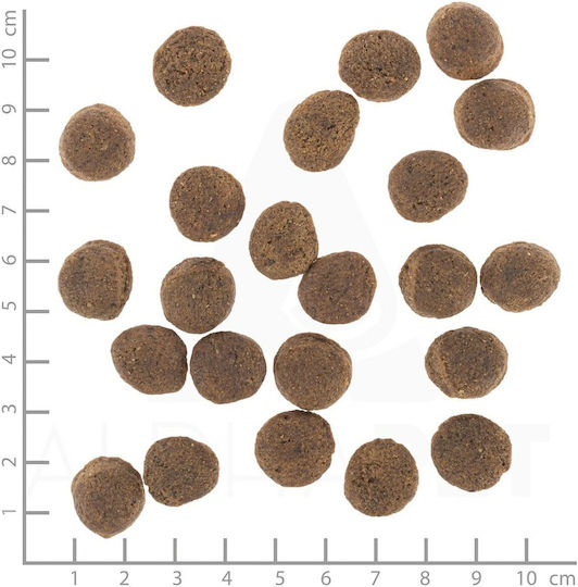 Wolfsblut 2kg Ξηρά Τροφή χωρίς Σιτηρά & Γλουτένη για Ενήλικους Σκύλους με Πάπια