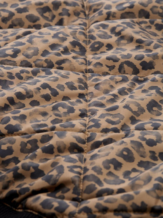Women's Bomber Jacket for Winter Brown