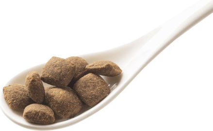 Granata Pet Foods 10кг Суха Храна без Зърнени храни за Възрастни Кучета с Птици, Месо, Нар, Сьомга и Картофи