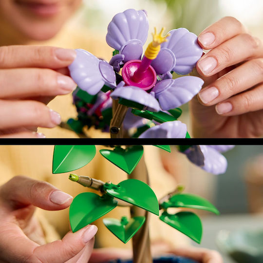 LEGO Botanical Collection Hibiscus Pentru 18+ Ani 660 Bucăți 10372