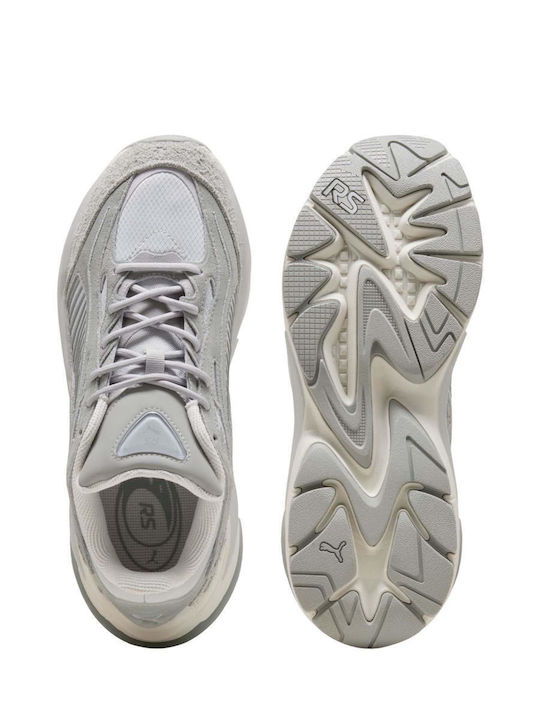 Sneakers Gray