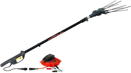 Zanon Karbonium Evo Olive Harvester Battery 12V 500W Type Rake with Rod and Weight 2.5kg