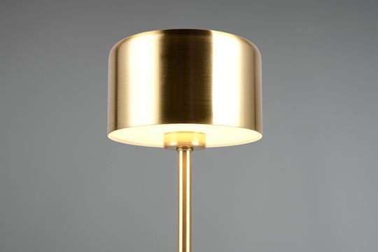 Trio Lighting Metal Lampă de masă LED cu Abajur Auriu și Bază