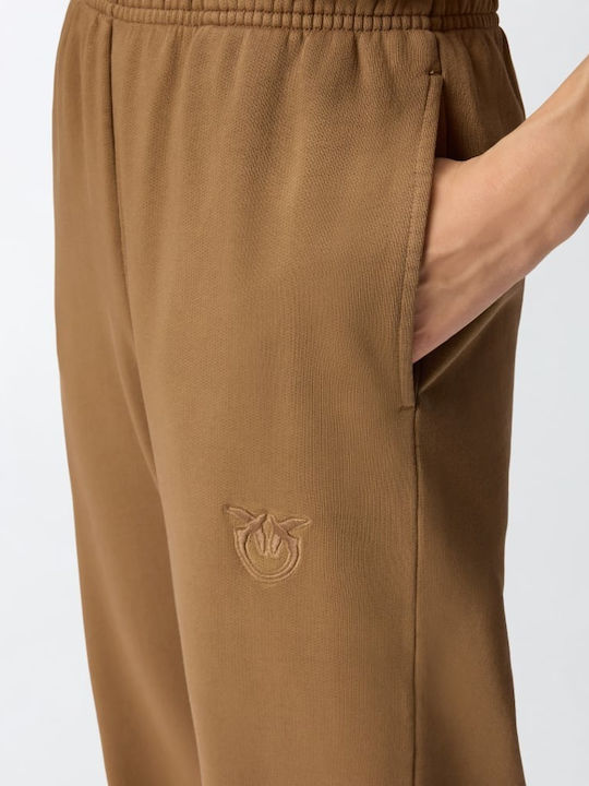 Pazzo Women's Fabric Trousers Brown