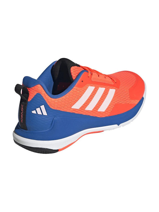 Novaflight 2 Sport Shoes Volleyball Team Solar Orange / Zero Metalic / Bright Royal