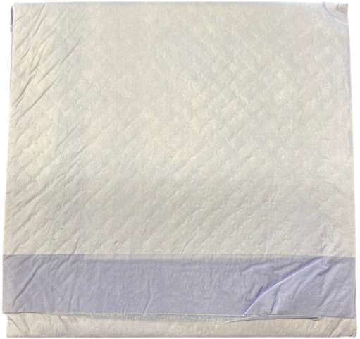 Pet Interest Training Diapers 10 Pieces 90x60cm