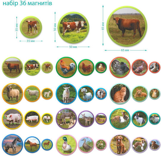Dodo Montessori Joc Educațional de Cunoștințe pentru 3+ ani Ani