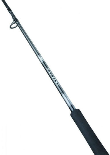 Daiwa Saltist X Fishing Rod for Shore Jigging 2.74m 20-80gr