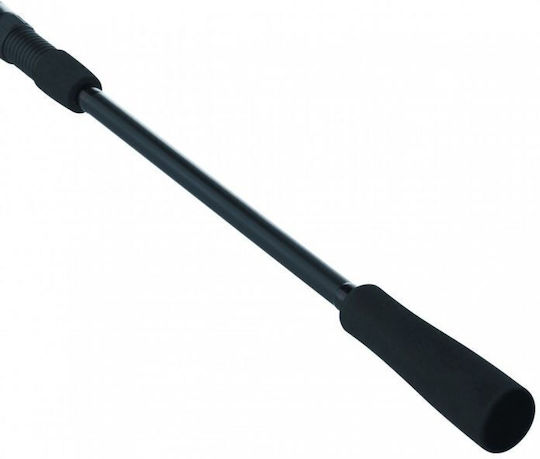Daiwa Въдица за Спининг 2.13м 3-10гр