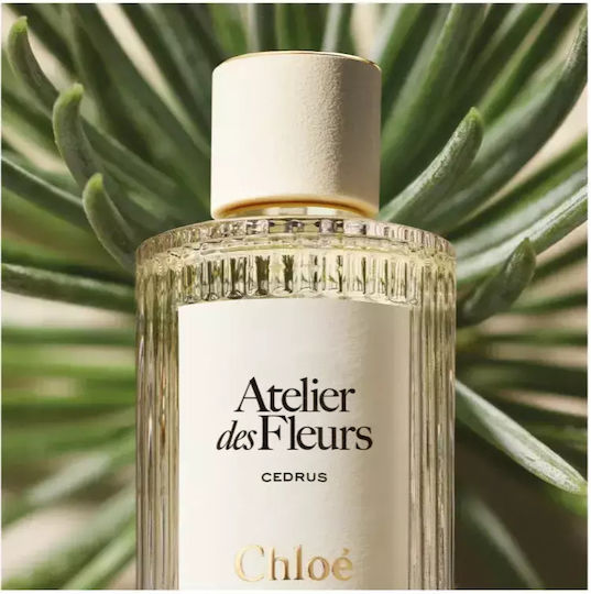 Chloe Eau de Parfum 150ml