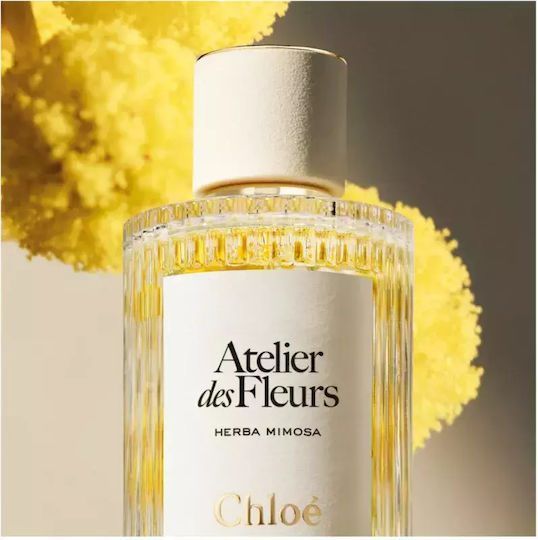 Chloe Eau de Parfum 150ml
