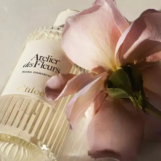 Chloe Eau de Parfum 50ml