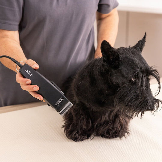 Wahl Professional Dog Grooming Clippers Power