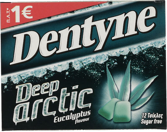 Dentyne Kaugummi Deep Arctic mit Pfefferminz Geschmack Ohne Zuckerzusatz 16.8gr