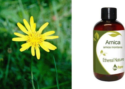 Nature & Body Αρωματικό Έλαιο Άρνικα 100ml