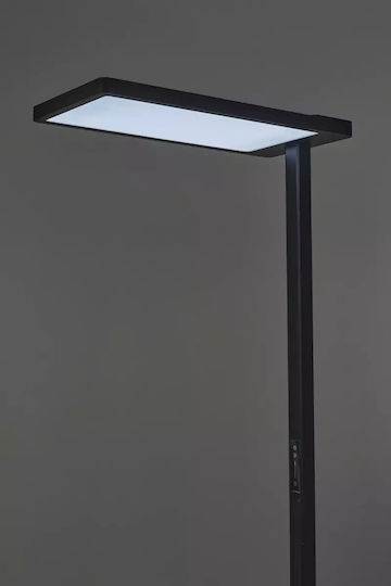 LED Floor Lamp Black