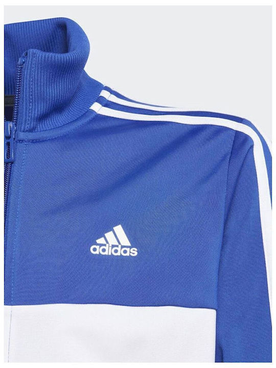 Kids Sweatpants Set Blue 2pcs 3S TIBERIO