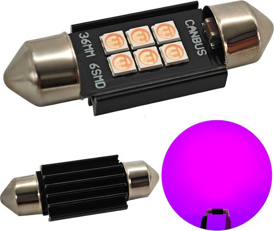 C5w Led Bulb Sv8.5 12-24v Canbus 36mm Pink