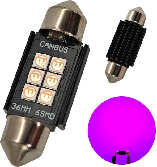 C5w Led Bulb Sv8.5 12-24v Canbus 36mm Pink