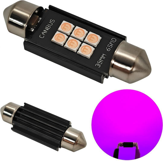 C5W C10W LED Bulb SV8.5 12-24V Canbus 39mm Pink