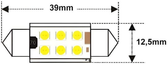 C5W C10W LED Bulb SV8.5 12-24V Canbus 39mm Green