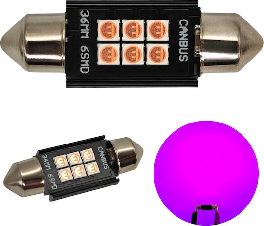 C5w Led Bulb Sv8.5 12-24v Canbus 36mm Pink