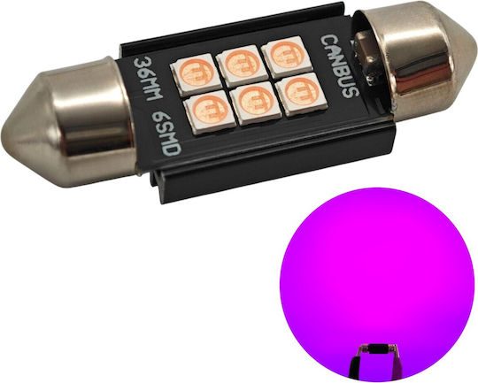 C5w Led Bulb Sv8.5 12-24v Canbus 36mm Pink