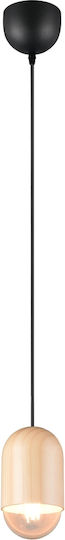 Trio Lighting Pendant Light