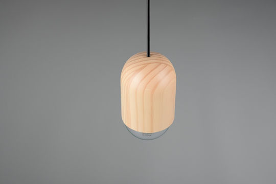 Trio Lighting Pendant Light