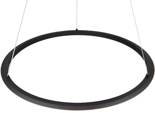 Trio Lighting Amador Pendant Light Black