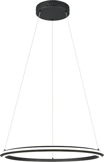 Trio Lighting Amador Pendant Light Black