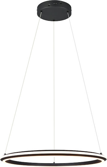 Trio Lighting Amador Pendant Light Black
