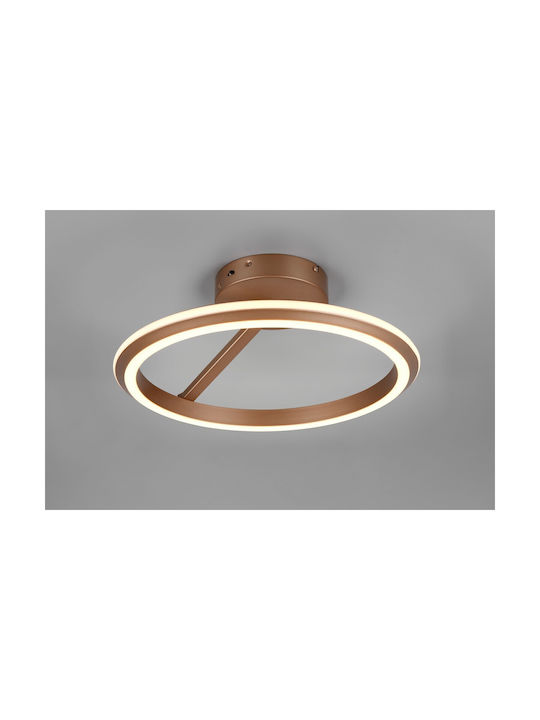 Trio Lighting Amador Таванно осветление Кафяв