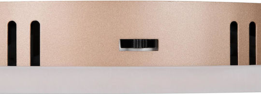 Trio Lighting Deckenleuchte Braun