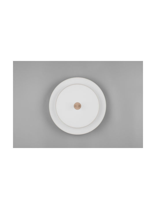 Trio Lighting Keaton Deckenleuchte Gray