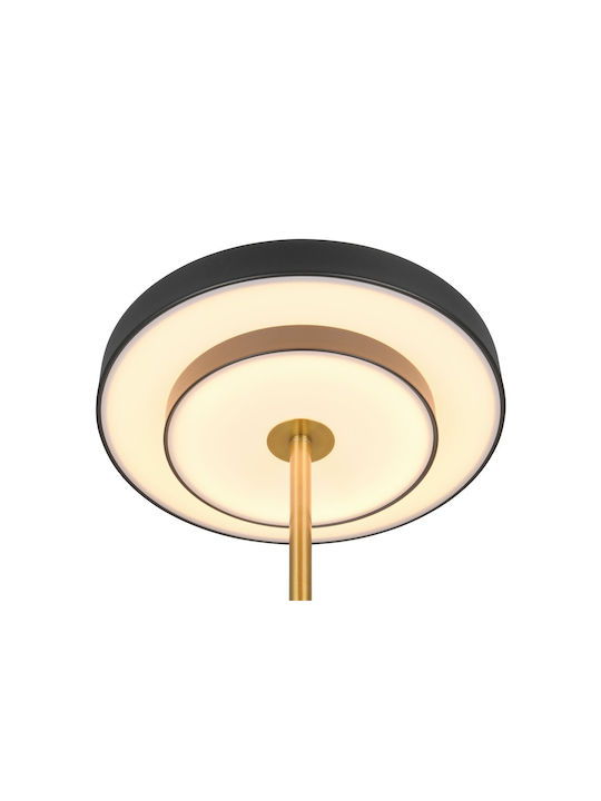 Trio Lighting Keaton Декоративна Лампа Черен