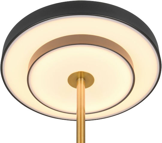 Trio Lighting Keaton Dekorative Lampe Schwarz
