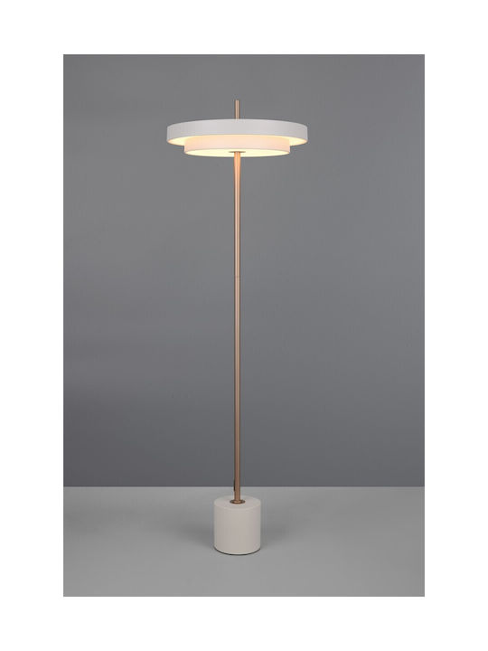 Trio Lighting Keaton LED Stehleuchte Gray