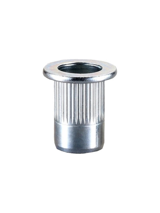 Πριτσίνια Σιδήρου M5x13mm 100τμχ